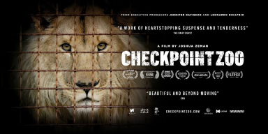 Bringing Checkpoint Zoo to Your Community: A Story of Courage, Compassion, and Ukraine’s Resilience
