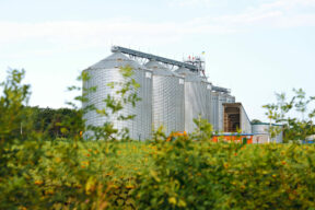 From Famine to Fertility: How Ukrainians Are Reclaiming Food Security with Razom’s Support