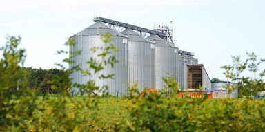 From Famine to Fertility: How Ukrainians Are Reclaiming Food Security with Razom’s Support