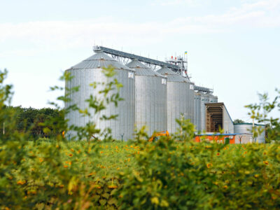 From Famine to Fertility: How Ukrainians Are Reclaiming Food Security with Razom’s Support